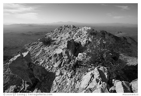 Waterman Peak summit. Ironwood Forest National Monument, Arizona, USA (black and white)