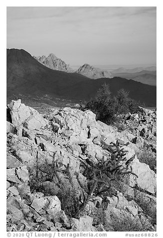 Ragged Top, and Wolcott Peak from Waterman Mountains. Ironwood Forest National Monument, Arizona, USA (black and white)