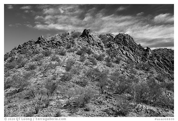 Waterman Mountains. Ironwood Forest National Monument, Arizona, USA (black and white)
