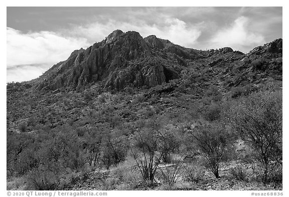 Waterman Peak. Ironwood Forest National Monument, Arizona, USA (black and white)