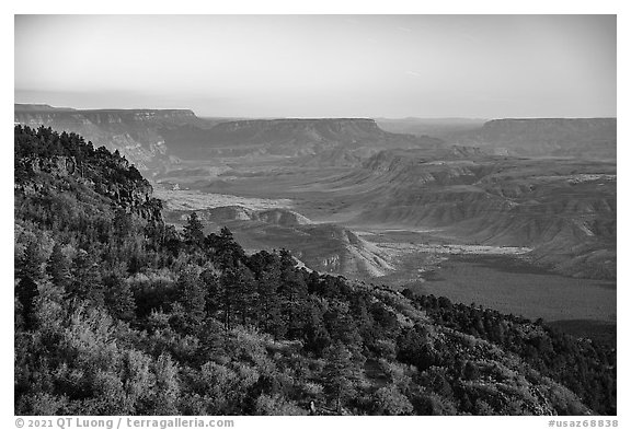 Grand Canyon from Mt Logan. Grand Canyon-Parashant National Monument, Arizona, USA (black and white)