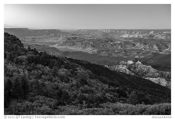 Grand Canyon from Mt Logan, dawn. Grand Canyon-Parashant National Monument, Arizona, USA (black and white)
