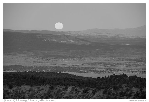 Full moon setting over Kinney Flat. Grand Canyon-Parashant National Monument, Arizona, USA (black and white)