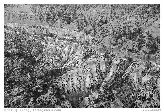 Hells Hole amphitheater detail. Grand Canyon-Parashant National Monument, Arizona, USA (black and white)