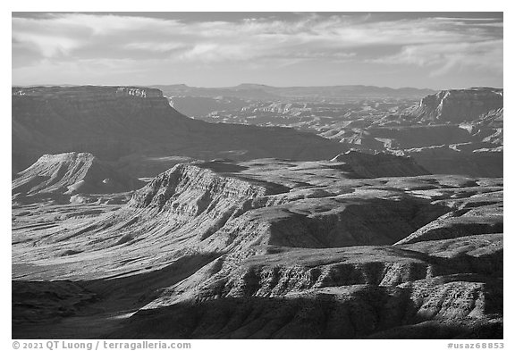 Whitmore Canyon from Mount Logan. Grand Canyon-Parashant National Monument, Arizona, USA (black and white)