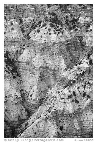 Colorful eroded rock in Hells Hole. Grand Canyon-Parashant National Monument, Arizona, USA (black and white)