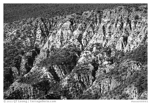 Eroded ridges, Hells Hole. Grand Canyon-Parashant National Monument, Arizona, USA (black and white)