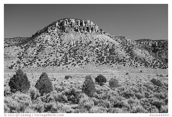 Sandstone cliffs, sage and juniper trees. Grand Canyon-Parashant National Monument, Arizona, USA (black and white)