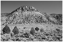 Sandstone cliffs, sage and juniper trees. Grand Canyon-Parashant National Monument, Arizona, USA ( black and white)