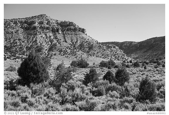 Torroweap Valley. Grand Canyon-Parashant National Monument, Arizona, USA (black and white)