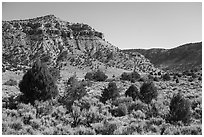 Torroweap Valley. Grand Canyon-Parashant National Monument, Arizona, USA ( black and white)