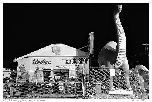 Dinosor and rock shop on route 66, Holbrook. Arizona, USA (black and white)