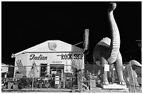 Dinosor and rock shop on route 66, Holbrook. Arizona, USA ( black and white)