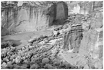 Canyon de Chelly seen from Spider Rock Overlook. Canyon de Chelly  National Monument, Arizona, USA ( black and white)