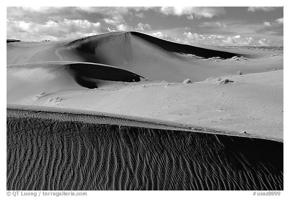 Pink Sand dunes, early morning. Canyon de Chelly  National Monument, Arizona, USA (black and white)