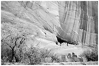 White House Ancestral Pueblan ruins with trees in fall colors. Canyon de Chelly  National Monument, Arizona, USA (black and white)