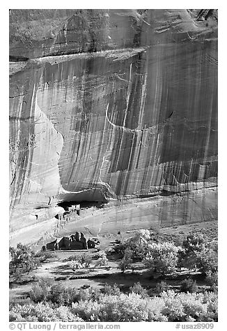 Floor of canyon with cottonwoods in fall colors and White House ruins. Canyon de Chelly  National Monument, Arizona, USA (black and white)