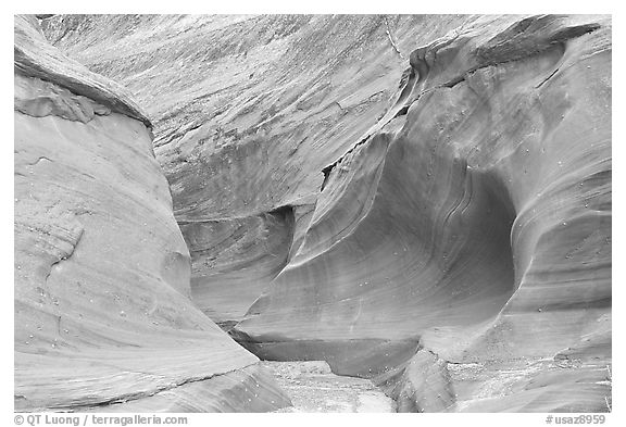 Water Holes Canyon. Arizona, USA (black and white)