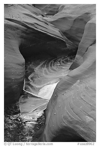 Frozen water and red sandstone, Water Holes Canyon. Arizona, USA (black and white)