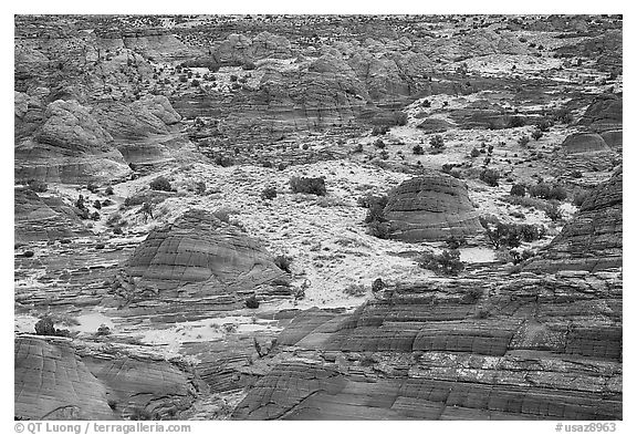 Sandstone mounds. Coyote Buttes, Vermilion cliffs National Monument, Arizona, USA (black and white)