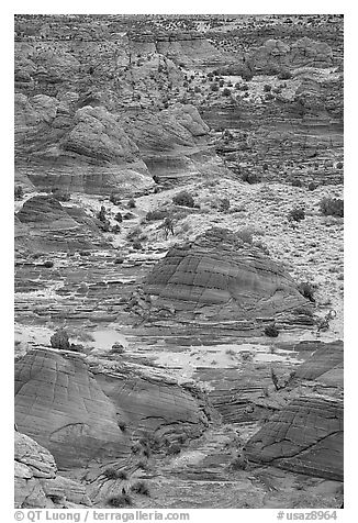 Sandstone mounds, North Coyote Buttes. Vermilion Cliffs National Monument, Arizona, USA (black and white)