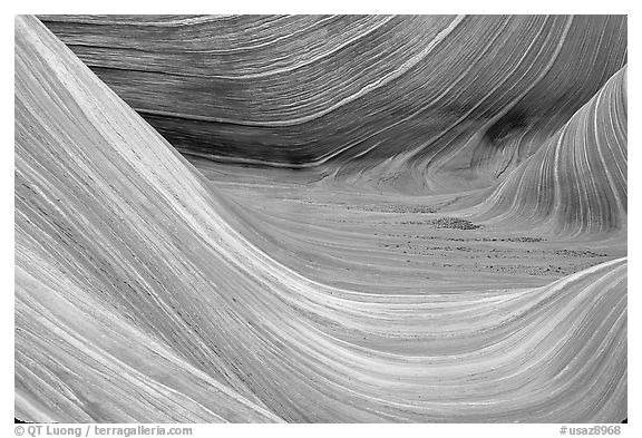 Sandstone striations in the Wave. Vermilion Cliffs National Monument, Arizona, USA (black and white)