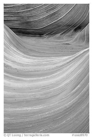 Ondulating sandstone stripes, The Wave. Coyote Buttes, Vermilion cliffs National Monument, Arizona, USA (black and white)