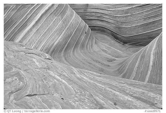 The Wave, main formation, seen from the top. Vermilion Cliffs National Monument, Arizona, USA (black and white)