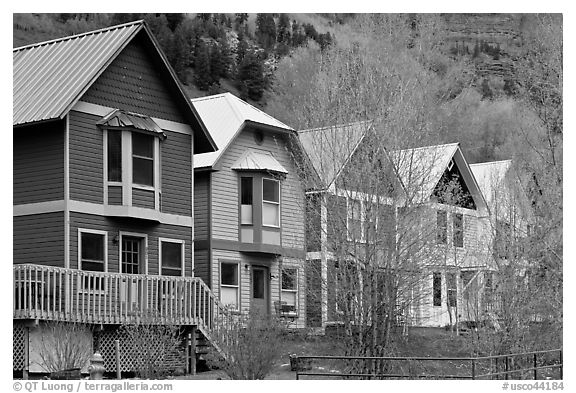 Houses with pastel colors and newly leafed trees. Telluride, Colorado, USA (black and white)