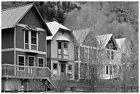 Houses with pastel colors and newly leafed trees. Telluride, Colorado, USA ( black and white)