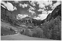 Road, aspens and Ajax peak in spring. Telluride, Colorado, USA ( black and white)