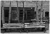 Public benches made of old skis. Telluride, Colorado, USA ( black and white)
