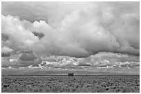 Lonely house on plain under clouds. Colorado, USA ( black and white)