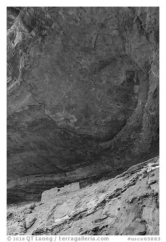 Cliff dwelling under Entrada Sandstone alcove roof. Canyon of the Ancients National Monument, Colorado, USA (black and white)