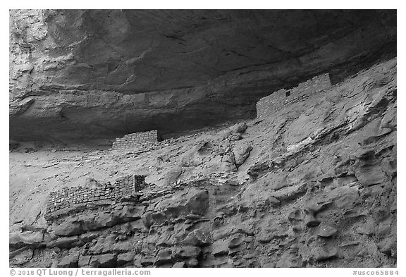 Corncob House. Canyon of the Ancients National Monument, Colorado, USA (black and white)