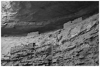 Corncob House. Canyon of the Anciens National Monument, Colorado, USA ( black and white)