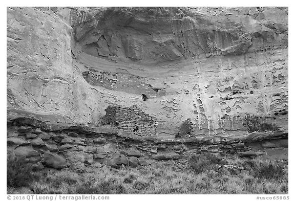 Double Cliff House. Canyon of the Ancients National Monument, Colorado, USA (black and white)