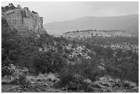 Sandstone cliffs in rain. Canyon of the Anciens National Monument, Colorado, USA ( black and white)