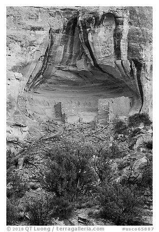 Sunny Alcove. Canyon of the Ancients National Monument, Colorado, USA (black and white)