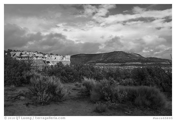 Cliffs and flats. Canyon of the Anciens National Monument, Colorado, USA (black and white)