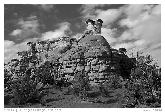 Entrada Sandstone bluff. Canyon of the Anciens National Monument, Colorado, USA (black and white)