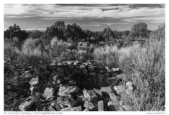 Ruined walls. Canyon of the Ancients National Monument, Colorado, USA (black and white)