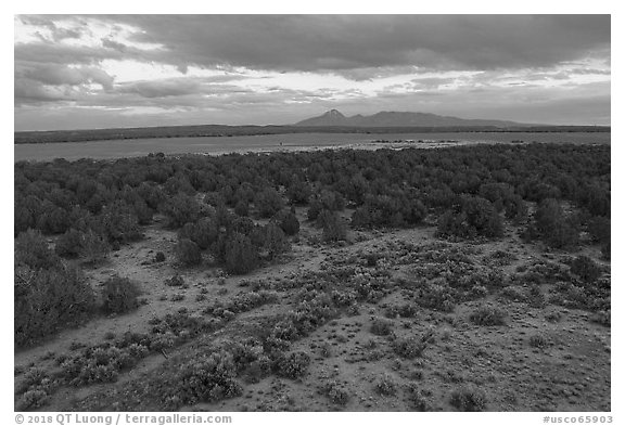 Aerial view of flats and Ute Mountain, evening. Canyon of the Ancients National Monument, Colorado, USA (black and white)