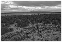 Aerial view of flats and Ute Mountain, evening. Canyon of the Anciens National Monument, Colorado, USA ( black and white)