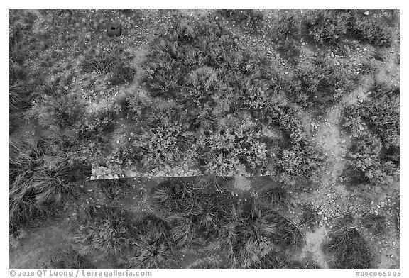 Aerial view looking straight down at Yucca House. Yucca House National Monument, Colorado, USA (black and white)
