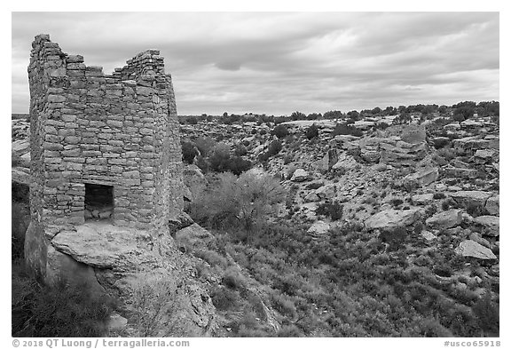 Twin Towers and  Little Ruin Canyon. Hovenweep National Monument, Colorado, USA (black and white)