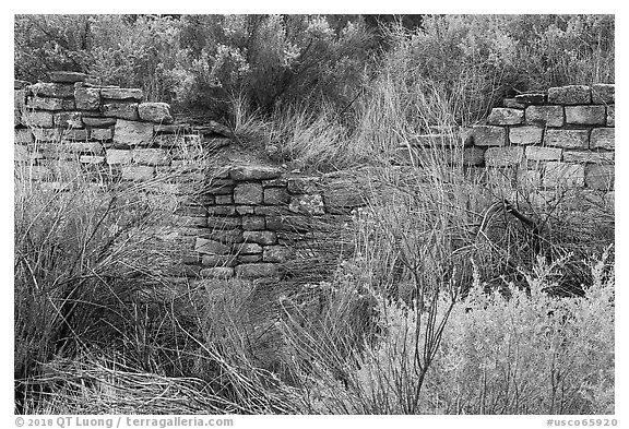 Partly excavated wall of Lower House. Yucca House National Monument, Colorado, USA (black and white)
