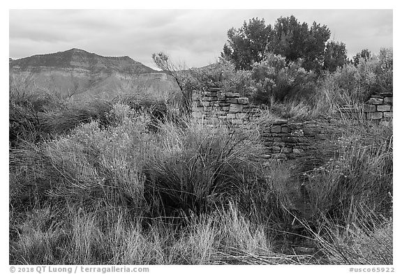 Yucca House and Mesa Verde. Yucca House National Monument, Colorado, USA (black and white)
