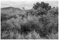 Yucca House and Mesa Verde. Yucca House National Monument, Colorado, USA ( black and white)