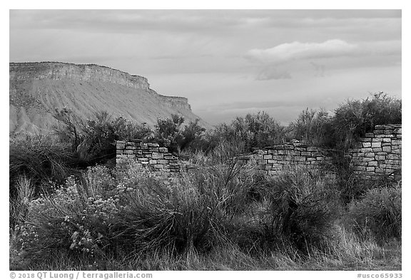 Lower House and cliff. Yucca House National Monument, Colorado, USA (black and white)